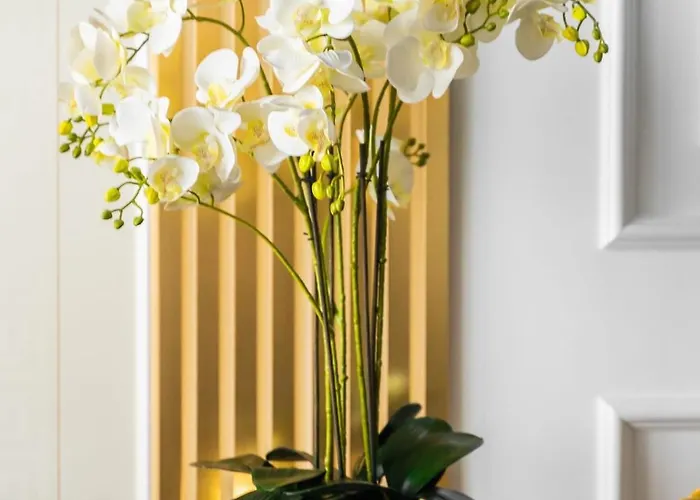 Hanza Tower Original 21st Floor- Sea And City-view 4* Stettin